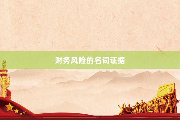 财务风险的名词证据