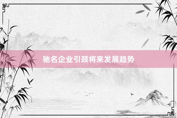 驰名企业引颈将来发展趋势