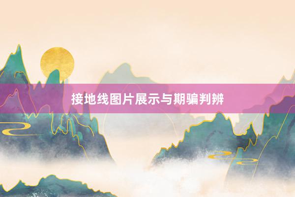 接地线图片展示与期骗判辨