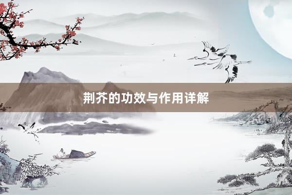 荆芥的功效与作用详解