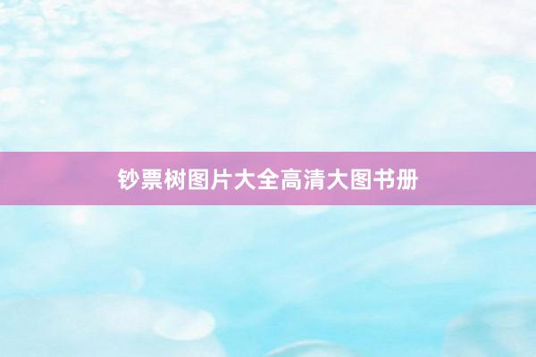 钞票树图片大全高清大图书册