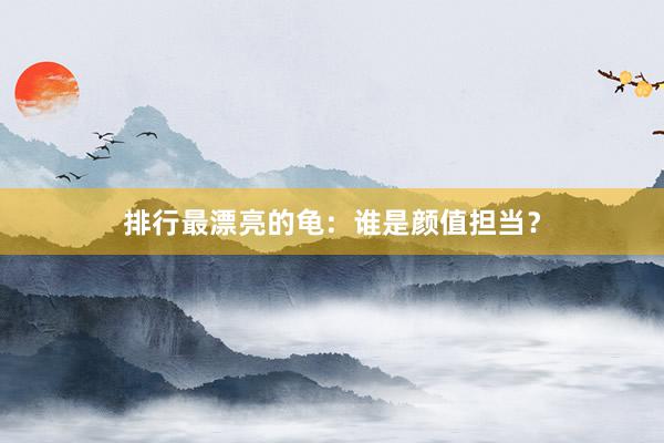 排行最漂亮的龟：谁是颜值担当？