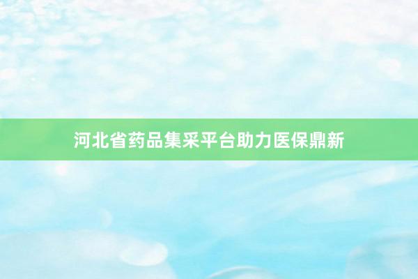 河北省药品集采平台助力医保鼎新